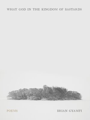 cover image of What God in the Kingdom of Bastards